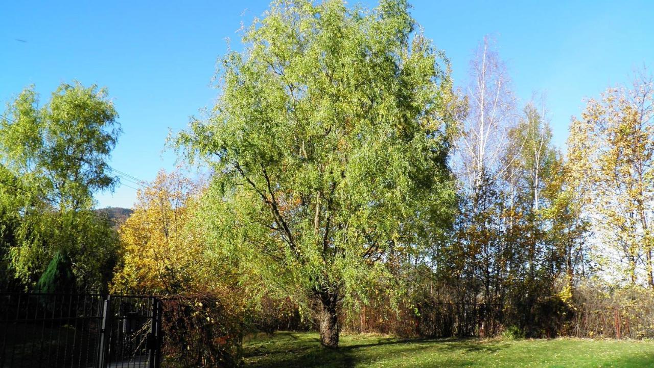 Podelniska Porąbka Zewnętrze zdjęcie